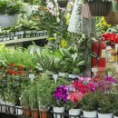 하이연세산부인과의원 이미지