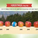 일광농원 네이버블로그
