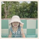 제주조우아 조수 이미지