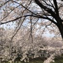 양재시민의 숲(버스정류장 앞) 이미지