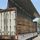 하나로지스 주식회사 이미지