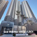 신동백롯데캐슬 1단지, 2단지 사이 횡단보도(2단지 앞) | 대구 달서 롯데캐슬 센트럴스카이 직접 다녀온 임장 후기