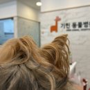 기린동물병원 이미지