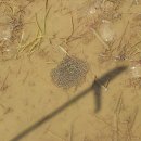 상미농원 이미지