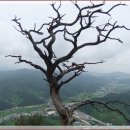 강선마을(중) 이미지