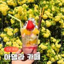 여수 목향장미 만개 핫플 아델라카페 방문 솔직후기 봄꽃 명소 추천