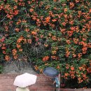 강원남부로 이미지