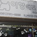 이향애견살롱 이미지