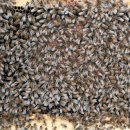 호운농장 이미지