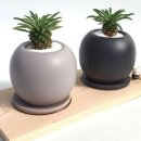 새벽아침농장 이미지