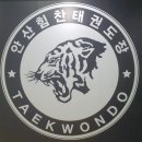 안산힘찬태권도장 이미지