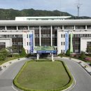 대천체육관 이미지