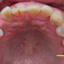 이도치과기공소 이미지