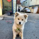 일대일모터스 이미지