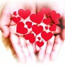 중앙구제 - 고양시 일산동구 견달산로 248 | 중앙구제
