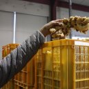 영주할인마트 이미지