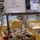 🌞💚🤖🦾 이미지