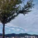 교촌치킨 무주점 이미지