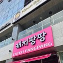 캐치팡팡 이미지