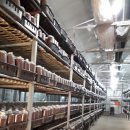 선우농장 이미지