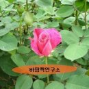 [♥사랑모/춤방] 리듬짝은 어떤 단계가 있다... 이미지