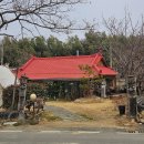 자연을 닮은 소박한 집 | [경주] 경주 반려동물 동반 가능 식당, 현지인 우동 맛집 | 자연을 닮은 소박한 집 자닮카페