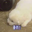 잘잣다 이미지