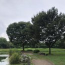 새벽식당 이미지