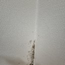 지에스25안산골드점 | 안산도배, 안산 고잔동 고잔롯데캐슬골드파크 아파트 22평 공실 로하스 실크벽지 도배