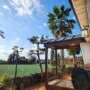 다미세탁 | 제주독채펜션 돌다미 깨끗하고 조용한 감성숙소 신규오픈