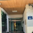 컴피 화명점 | 부산애견유치원 컴피 화명점 포메 곰돌이컷 미용 후기