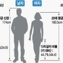 남녀 평균키.jpg 이미지