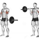 바벨(BARBELL)