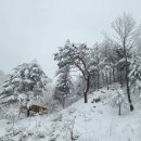 달마루펜션 이미지