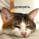 (주)알람 이미지