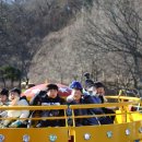 동산태권도장 이미지