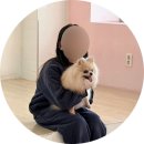 캣라운지 이미지