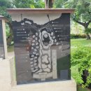 일호당구장 | 필리핀 세부 제이파크 워터파 당일치기 즐기기 ㆍ