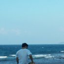 조은켄넬 이미지