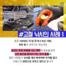 에코레저