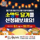 🌼 [마산] 제25회 마산가고파국화축제 소망등 달기 신청 후기