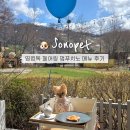 까비애견 | 홍천 소노펫 띵킹독 메뉴 페어링세트 멍푸치노 후기