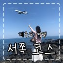 용마수산 | 제주도 서쪽 여행, 이렇게 돌았어요 | 찐 후기 코스/ 맛집/ 놀거리