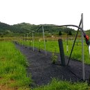 유목농장 이미지