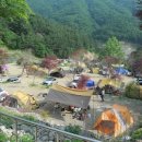 산야초 자연 캠핑장 이미지