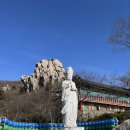 삼배목장 네이버블로그