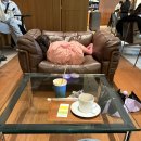 100 심어놓은 하 | 부산카페 세계100대카페 모모스커피 해운대점