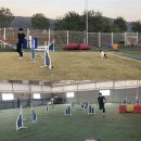 스퀘어독스 이미지