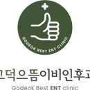 고덕으뜸이비인후과의원 네이버블로그