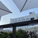 호야네뒷고기 | 제주공항 근처 <메종 글래드 제주> 수영장 후기, 디럭스 트윈, 내돈내산